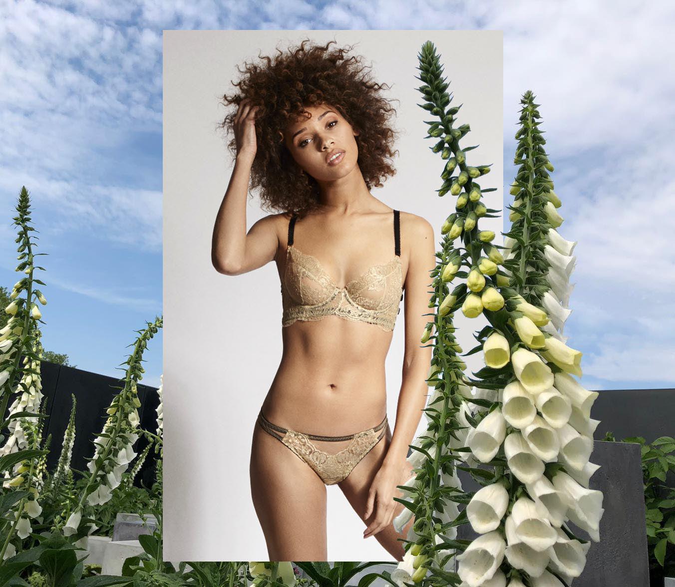 In Full Bloom With Chelsea Flower Show