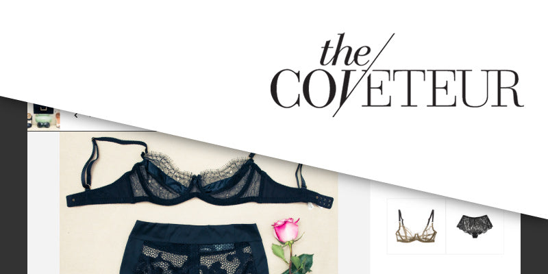 Closet: Lindsay Ellingson