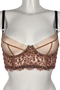 Gold + Pink Lace Longline Bra SS2802015