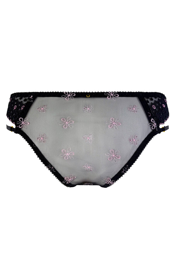 JoJo Brief