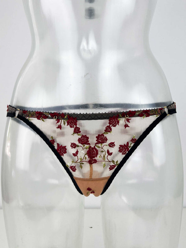 Charlotte brief SSS1046