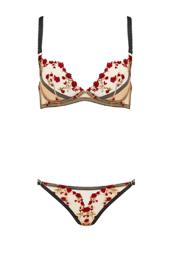 charlotte brief