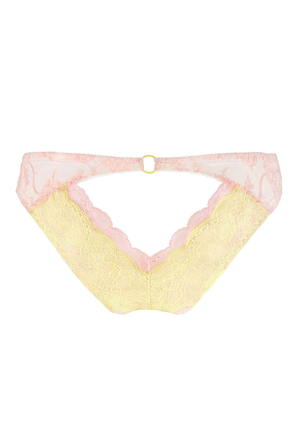 Sarah Brief