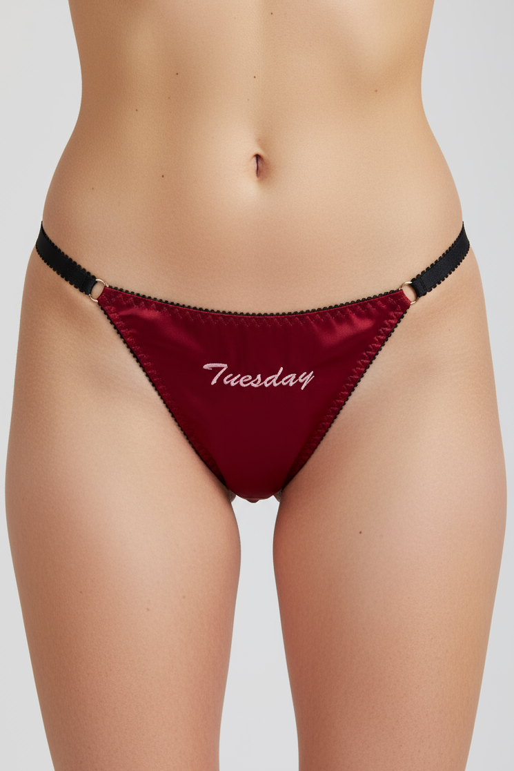 Rouge Silk Embroidered Thong SS0901153