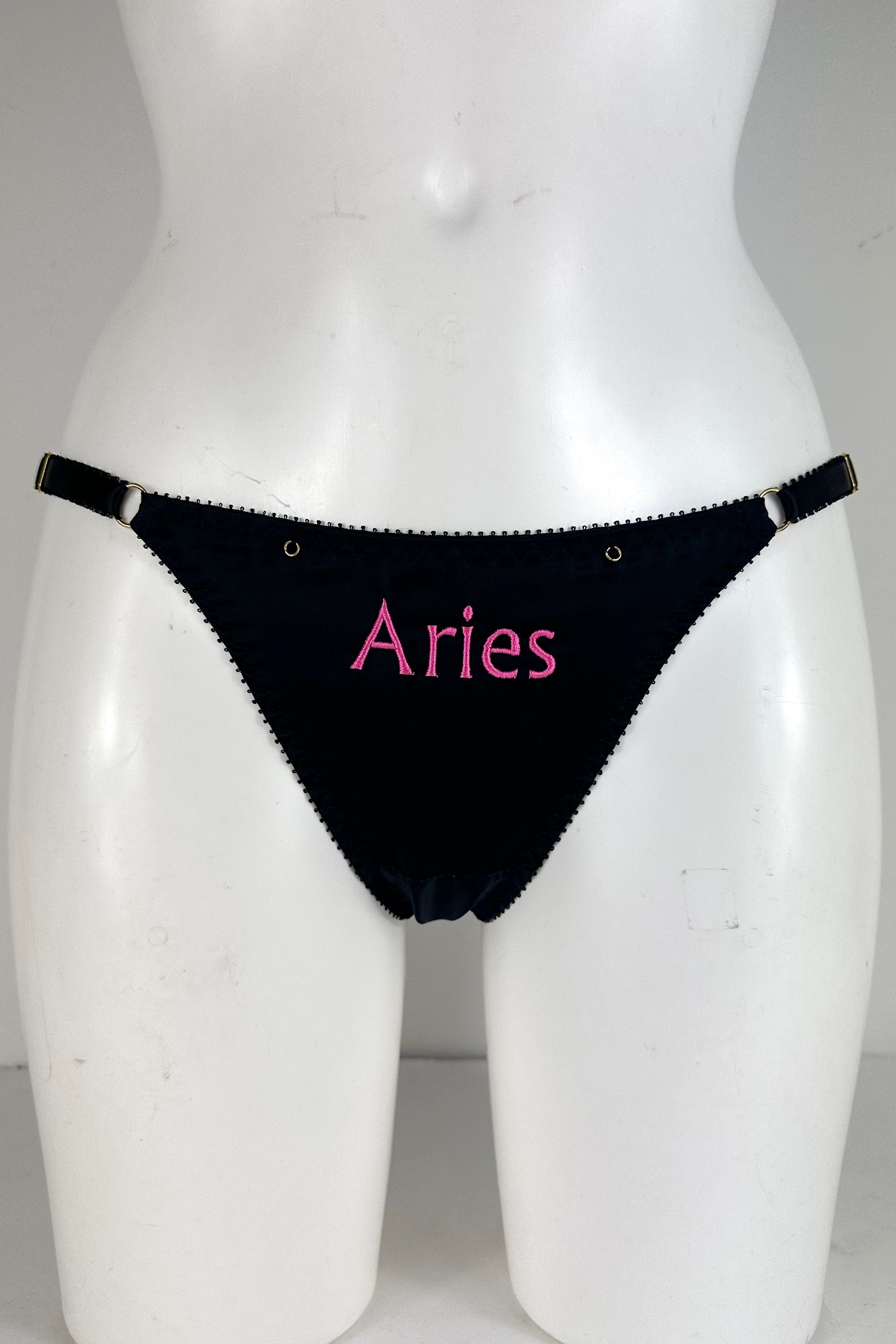 Noir Silk Embroidered Brief SS0902001