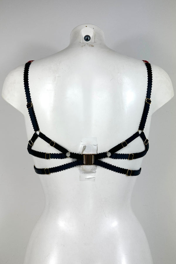 Imy Rouge Bra SS0902004