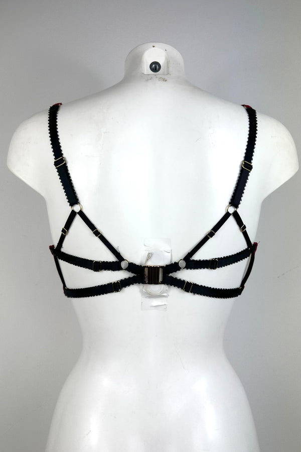 Imy Rouge Bra SS0902005