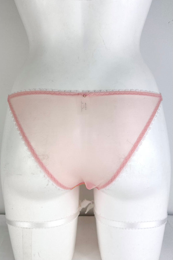 BEYOND SUSTAINABLE Brief SS0927181