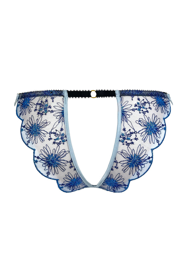 Sophie Brief