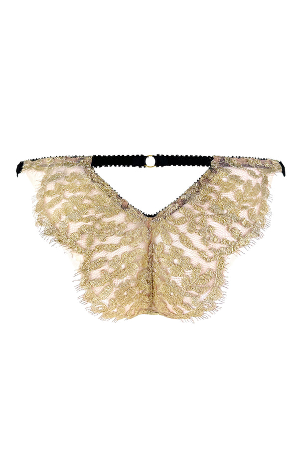Mina Brief