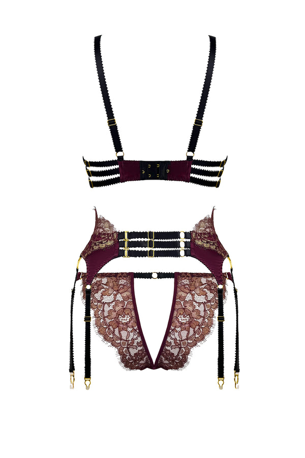 Nova Brief