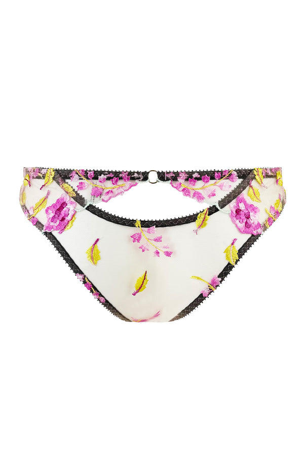 Ally Brief
