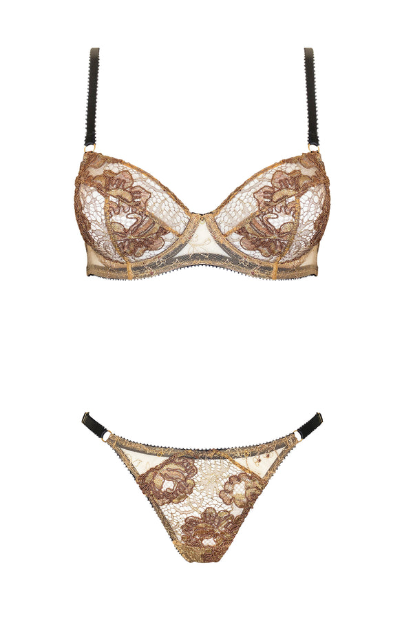 Aniel Tanga Brief