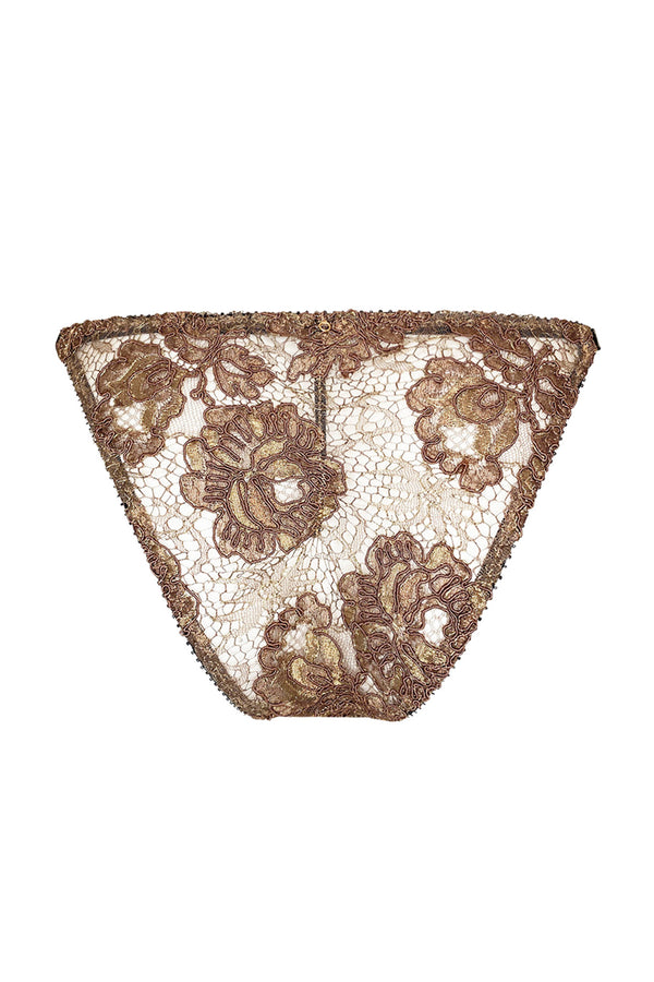 Aniel Tanga Brief
