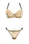 Carol Brief