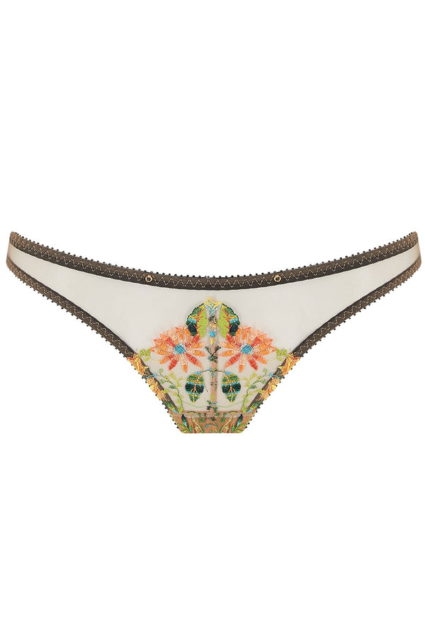 Daisy Brief