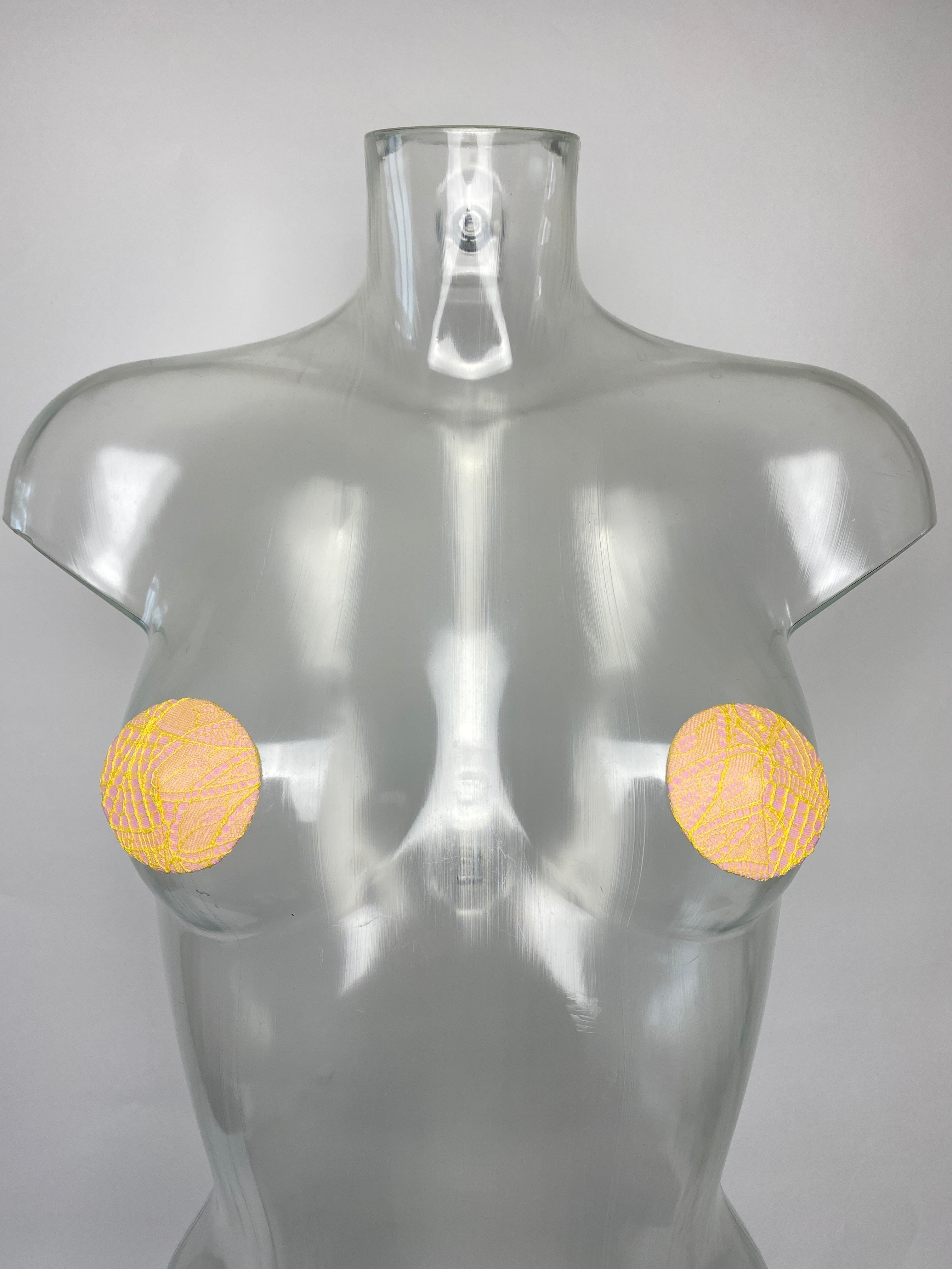 Tia Sustainable Pasties LP003