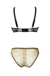 Naomi Brief