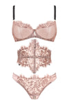 Vanessa Brief