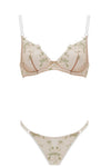 Charlotte Ivory Brief