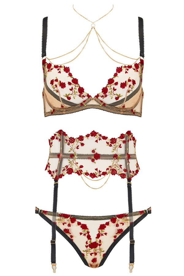charlotte brief