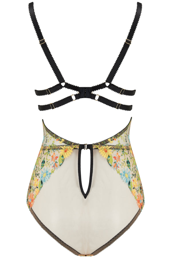 daisy body