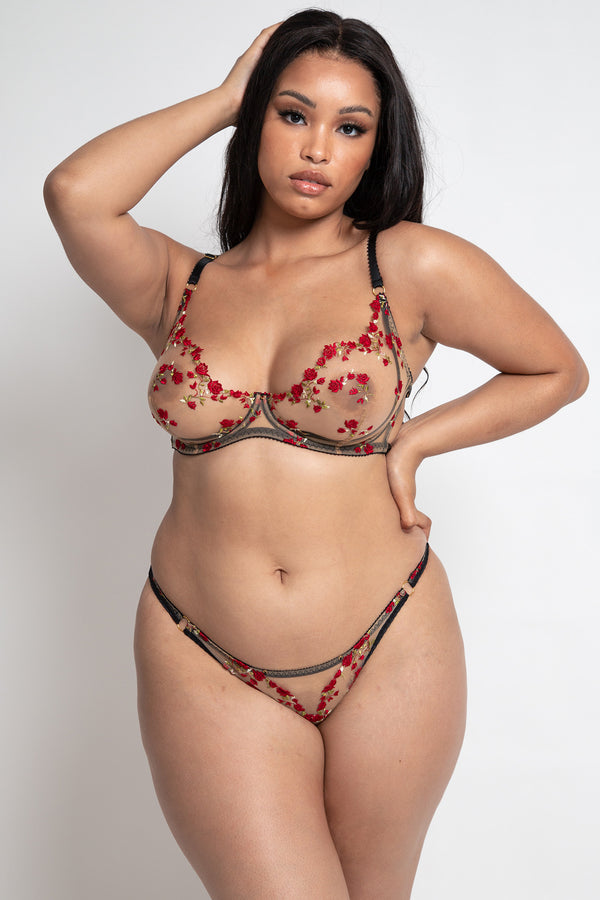 Charlotte Brief Red Rose Lingerie Embroidery Set Back Peek a Boo Cut Out