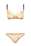 Naomi Brief