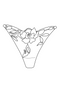 Beyond Sustainable Thong