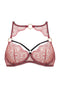 Abi Bra