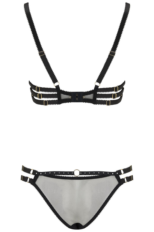 Sue Brief