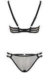 Sue Brief