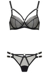 Sue Brief