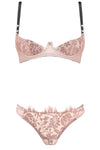 Vanessa Brief